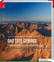 bokomslag Das Tote Gebirge