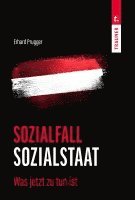 bokomslag Sozialfall Sozialstaat