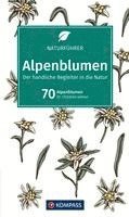 bokomslag Alpenblumen