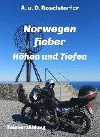 bokomslag Norwegenfieber