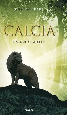 Calcia 1