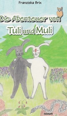 bokomslag Abenteuer von Tuli und Muli