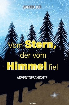 bokomslag Vom Stern, der vom Himmel fiel