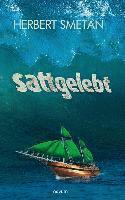 Herbert Smetan - sattgelebt, Inbunden