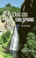 Dieter Spring - Lass los und spring, Häftad