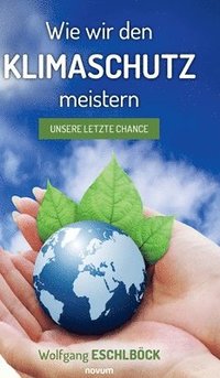 bokomslag Wie wir den Klimaschutz meistern