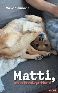 bokomslag Matti, mein Montags-Hund