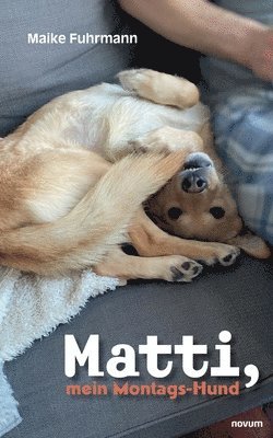 Matti, mein Montags-Hund 1