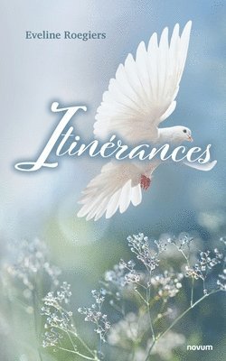 bokomslag Itinérances