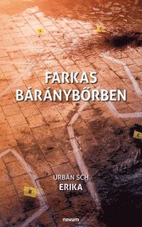 bokomslag Farkas baranyb&#337;rben