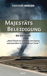 bokomslag Majestätsbeleidigung