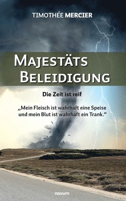 bokomslag Majestätsbeleidigung