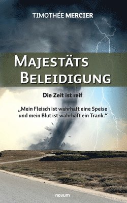 bokomslag Majestätsbeleidigung: Die Zeit ist reif