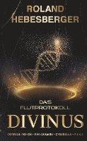 bokomslag Divinus: Das Flutprotokoll