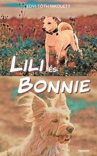 bokomslag Lili es Bonnie
