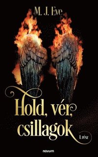 bokomslag Hold, vér, csillagok