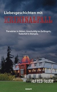 bokomslag Liebesgeschichten mit Kriminalfall