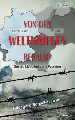 bokomslag Von den Weltkriegen beraubt