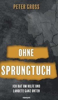 bokomslag Ohne Sprungtuch