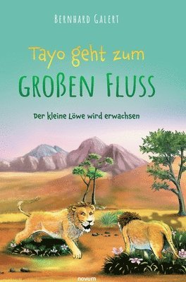 bokomslag Tayo geht zum großen Fluss