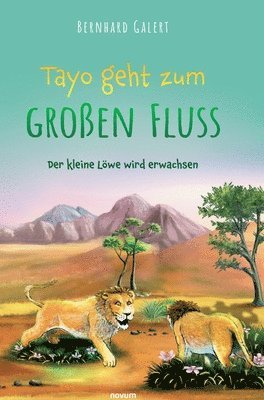 bokomslag Tayo geht zum groen Fluss