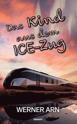 Werner Arn - Kind aus dem ICE-Zug, Häftad