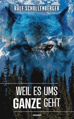 Ralf Schollenberger - Weil es ums Ganze geht, Häftad