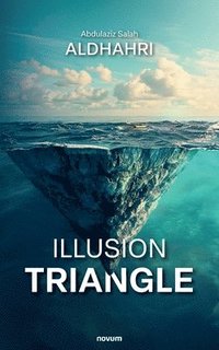 bokomslag Illusion triangle