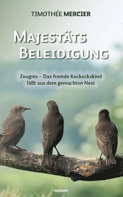 bokomslag Majestätsbeleidigung