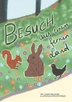 bokomslag Besuch aus einem fernen Land
