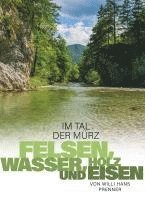 Im Tal der Mürz 1