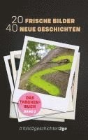bokomslag 20 Frische Bilder 40 Neue Geschichten