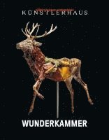 Wunderkammer 1