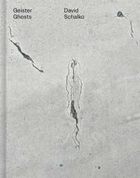 bokomslag David Schalko: Ghosts