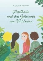 bokomslag Amethasia und das Geheimnis von Waldonien