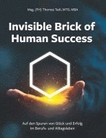 bokomslag Invisible Brick of Human Success