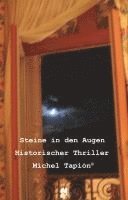 bokomslag Steine In den Augen