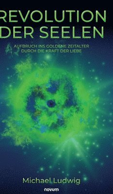 Michael Ludwig - Revolution der Seelen - Aufbruch ins goldene Zeitalter durch die Kraft der Liebe, Inbunden