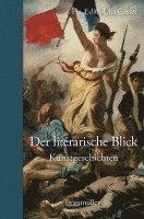 bokomslag Der literarische Blick