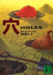 bokomslag Holes