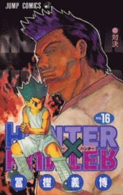 Yoshihiro Togashi - Hunter X Hunter 16, Häftad