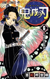 bokomslag Demon Slayer: Kimetsu no Yaiba 6 (Japanska)