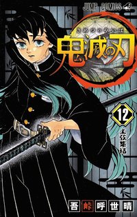 bokomslag Demon Slayer: Kimetsu no Yaiba 12 (Japanska)