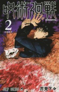 bokomslag Jujutsu Kaisen 2