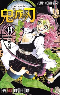 bokomslag Demon Slayer: Kimetsu no Yaiba 14 (Japanska)