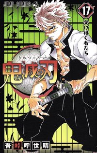 bokomslag Demon Slayer: Kimetsu no Yaiba 17 (Japanska)