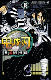 bokomslag Demon Slayer: Kimetsu no Yaiba 19 (Japanska)