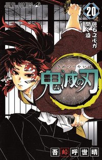 bokomslag Demon Slayer: Kimetsu no Yaiba 20 (Japanska)