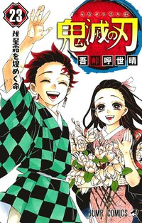 bokomslag Demon Slayer: Kimetsu no Yaiba 23 (Japanska)