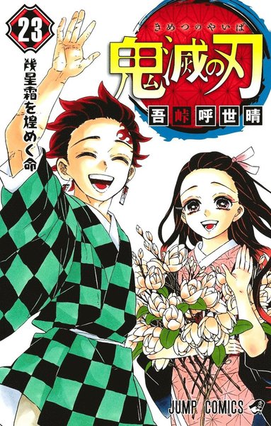 bokomslag Demon Slayer: Kimetsu no Yaiba 23 (Japanska)